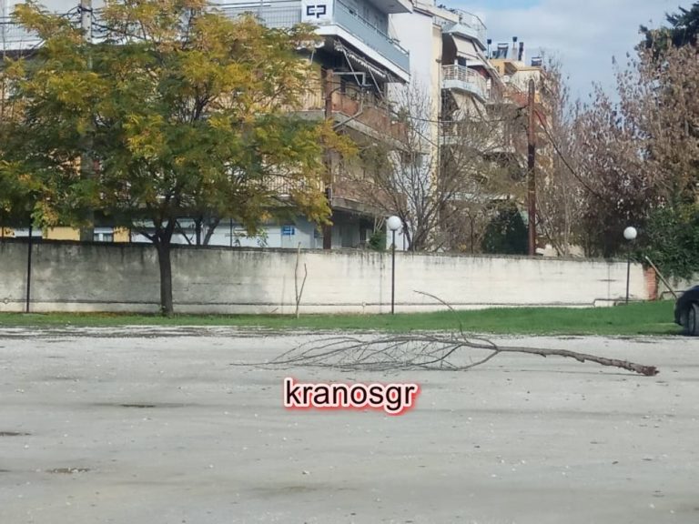 404 ΓΣΝ Λάρισας: Κάποιος να καθαρίσει το πάρκινγκ