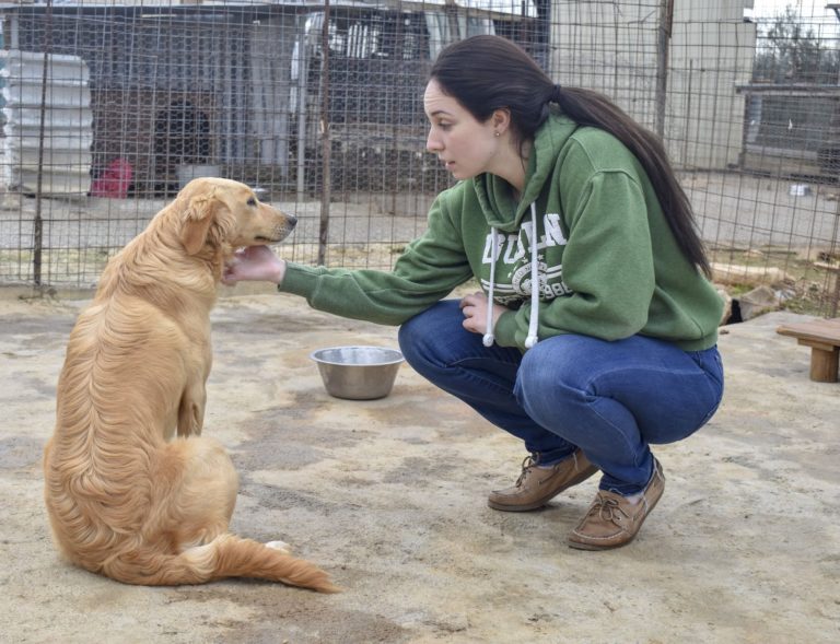Αμερικανοί της Σούδας  σε καταφύγιο αδέσποτων σκύλων