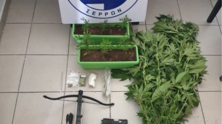 Σέρρες: Στρατιωτικός φύλαγε με… βαλλίστρα την χασισοφυτεία του!