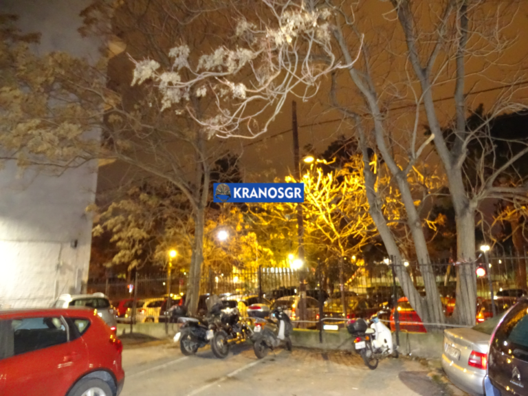 ΣΟΑ Πεδίου Άρεως Γ’ΣΣ: Κίνδυνος ατυχήματος από ακλάδευτα δέντρα