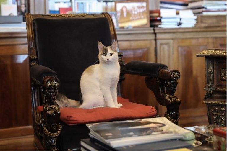 Η Υπολοχαγός ”Καλυψώ” που υποδέχθηκε τον Ν. Παναγιωτόπουλο στο Προεδρικό Μέγαρο