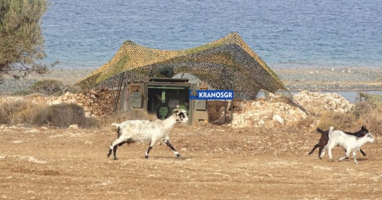 ”Ζωή στα…κατσικομούλαρα”