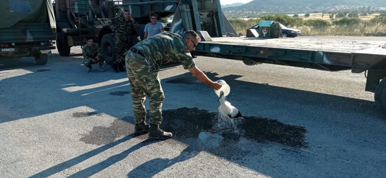 Στρατιωτικός διέσωσε πελαργό που κάηκε στα πόδια από τη φωτιά στη Λέσβο!