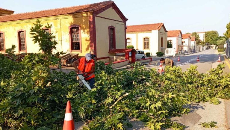 Αυτά γίνονται όταν έχεις πρόσωπο… Περιβαλλοντικό lifting στο Γ’ΣΣ