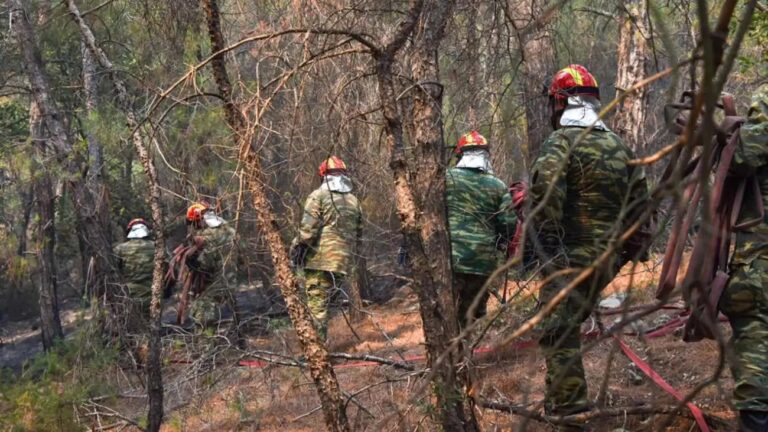 Πυρκαγιές: Στρατιωτικές ασκήσεις στον Εβρο ως «ανάχωμα» σε εμπρηστές και αυτόκλητους σερίφηδες
