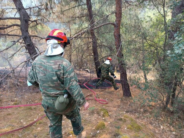 Προβατώνας: Αύξηση επικινδυνότητας στο 3 – Τι ισχύει με τα δασοπερίπολα στο Δ’ΣΣ