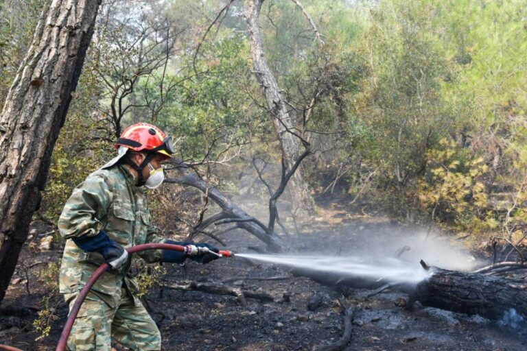 Οι «ήρωες με τα χακί» στη μάχη της πυρόσβεσης