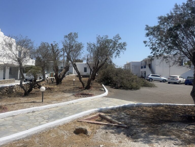 Το στρατιωτικό προσωπικό της 6η ΜΣΕΠ καθάρισε τον τόπο στην Άνω Μερά