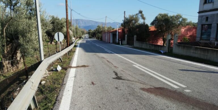 BINTEO – Συνελήφθη στρατιωτικός για τροχαίο με άλογα ιδιοκτησίας του