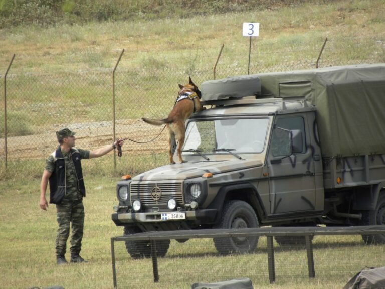 ΕΣΠΕΚΜ: Εκτός ΚΥΑ οικονομικής νυχτερινής αποζημίωσης Συνοδοί Στρατιωτικών Σκύλων και ΟΒΑ!!!! ΓΙΑΤΙ;;;