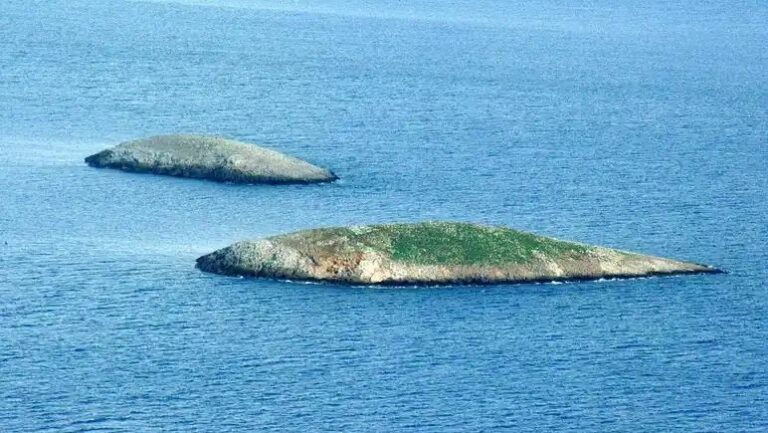 ΙΜΙΑ 1996. 30 ΧΡΟΝΙΑ ΣΤΟ«ΓΚΡΙ» – Χρήστος Στρυφτός